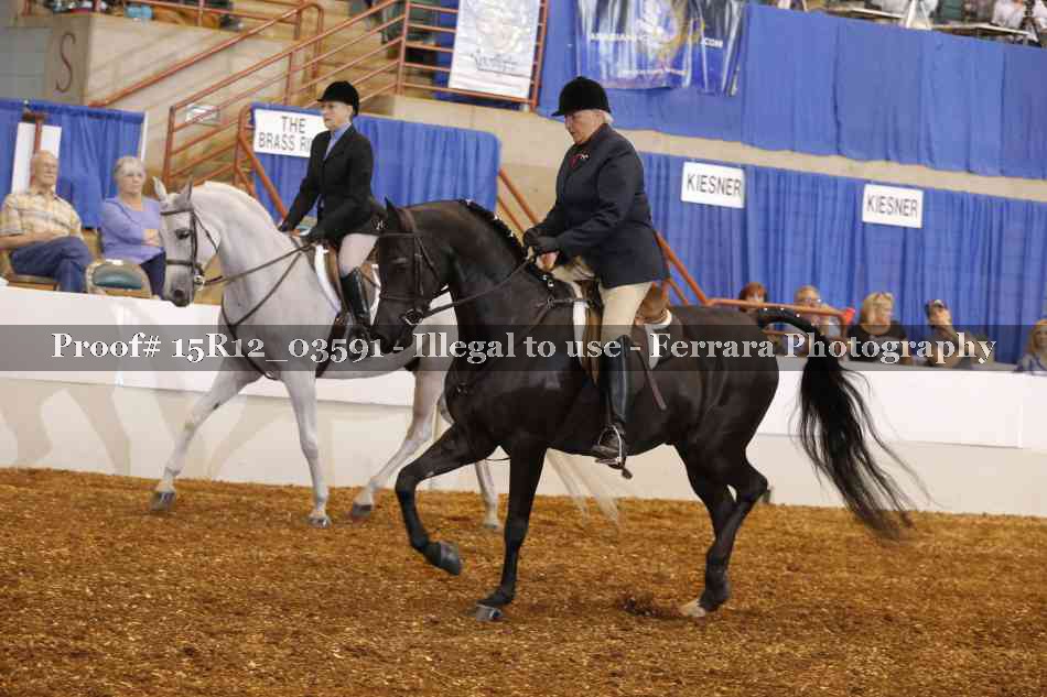 Proof 15R12_03591