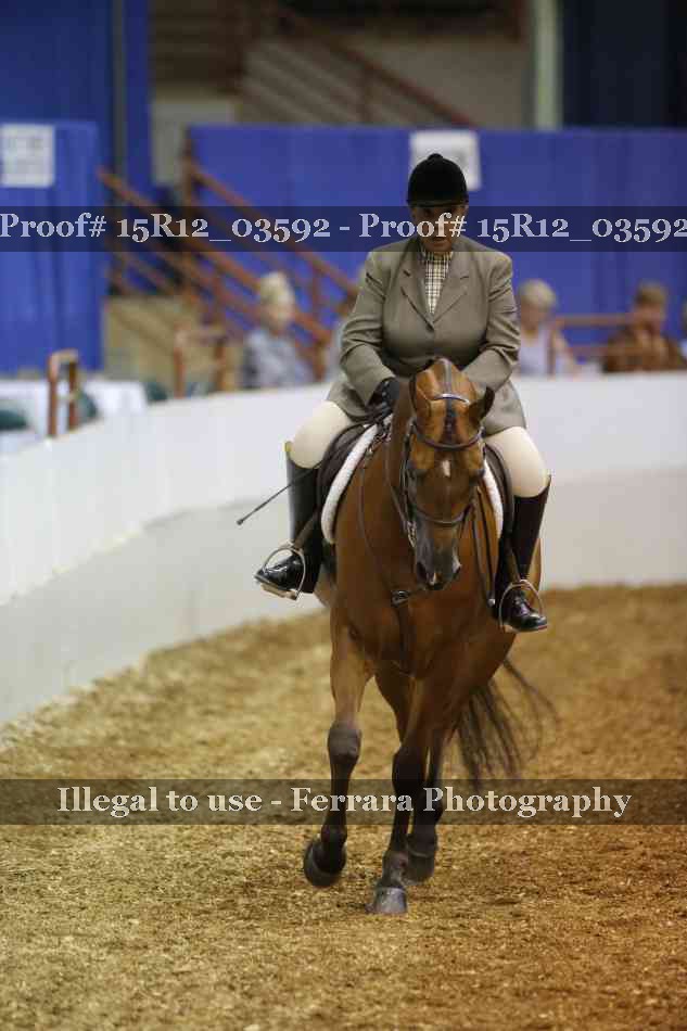 Proof 15R12_03592