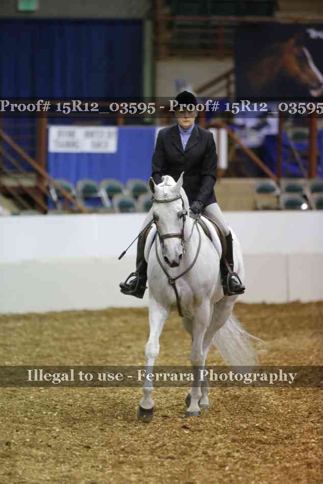 Proof 15R12_03595