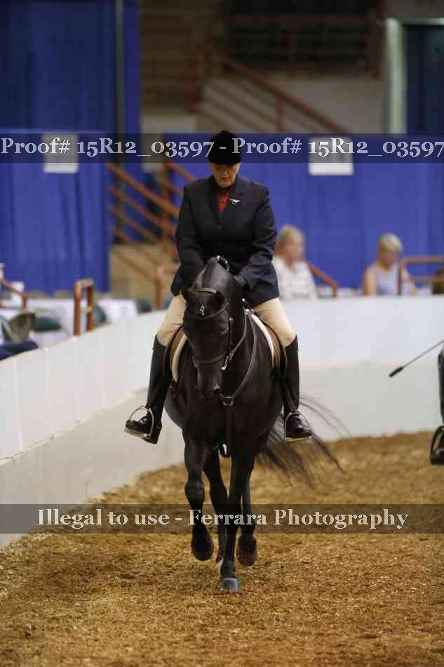 Proof 15R12_03597