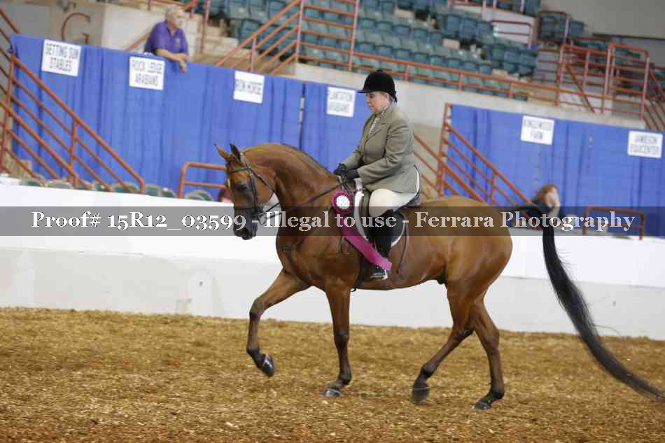 Proof 15R12_03599