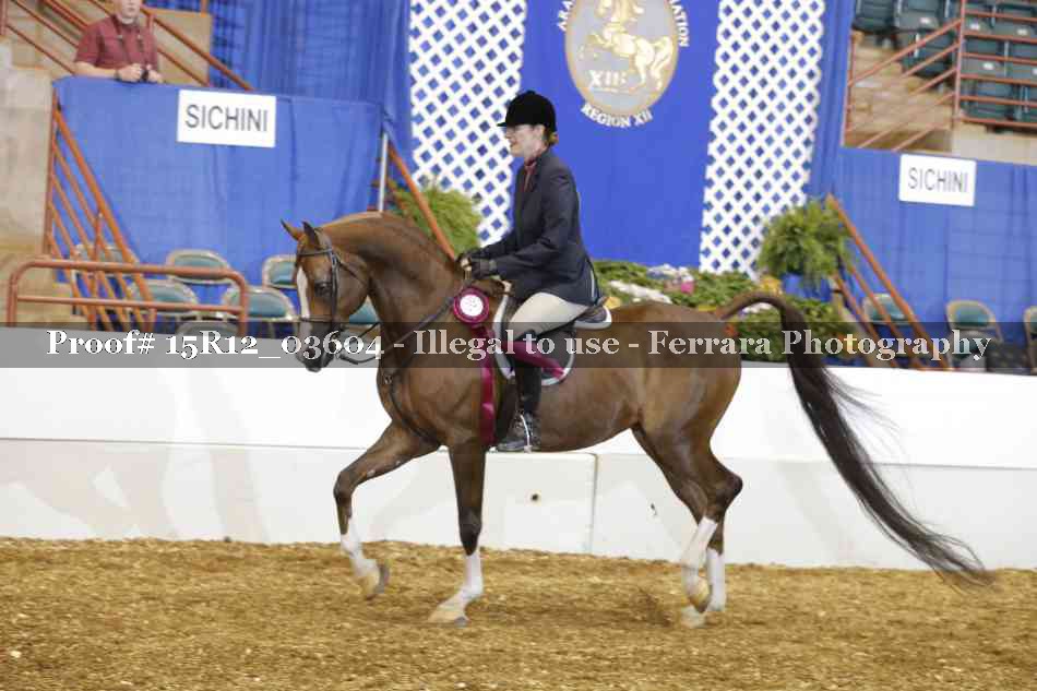 Proof 15R12_03604