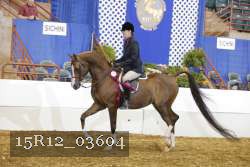 15R12_03604 proof