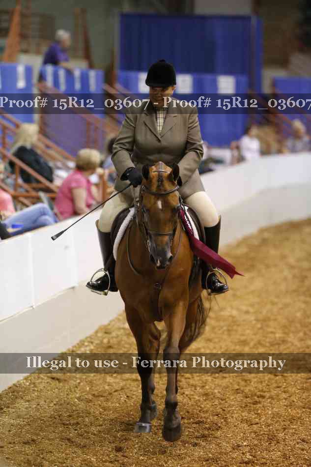Proof 15R12_03607