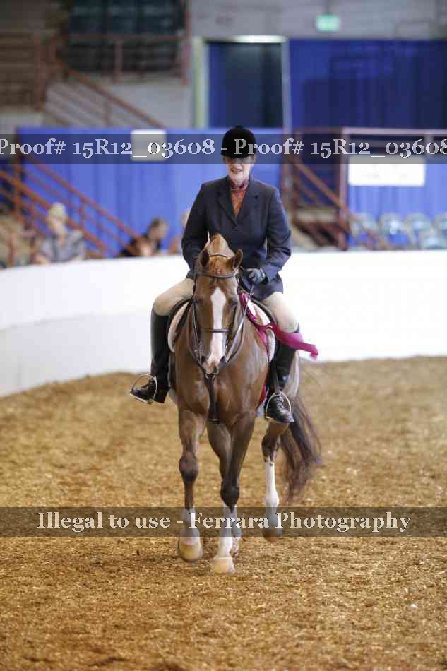 Proof 15R12_03608