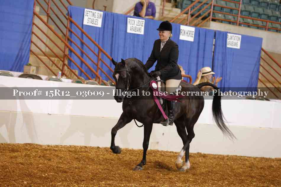 Proof 15R12_03609