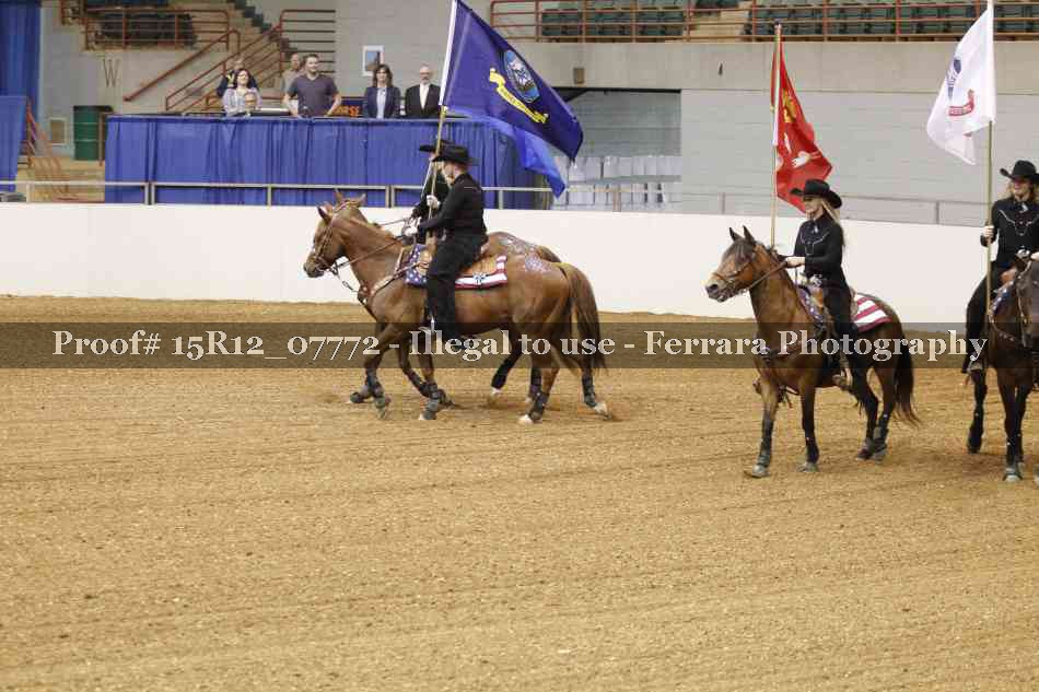 Proof 15R12_07772