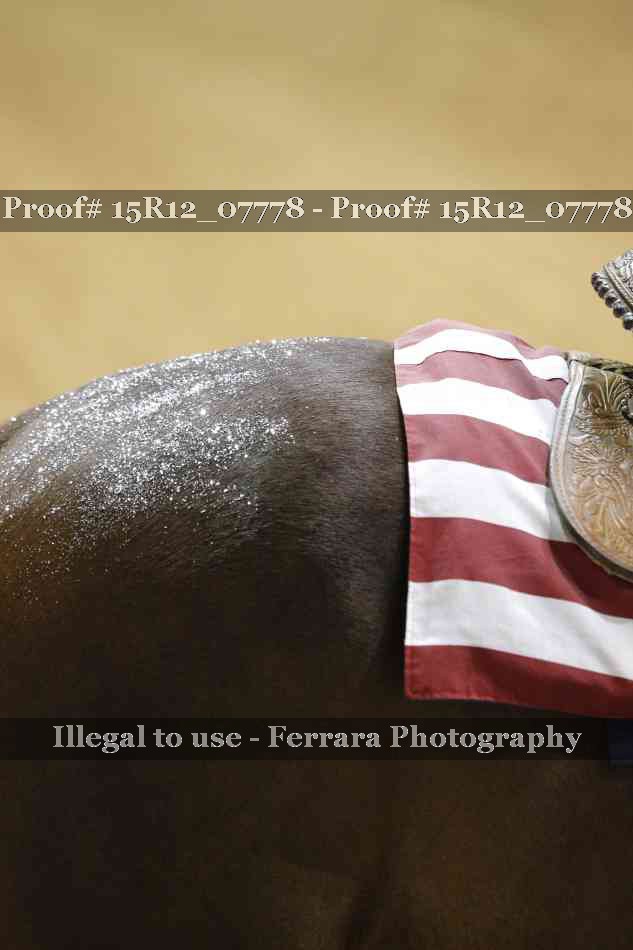 Proof 15R12_07778