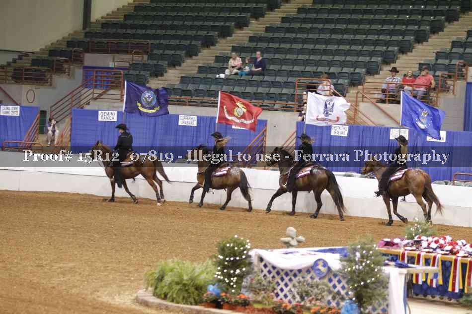 Proof 15R12_07819