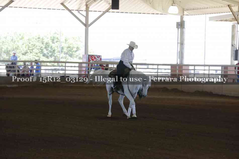 Proof 15R12_03129
