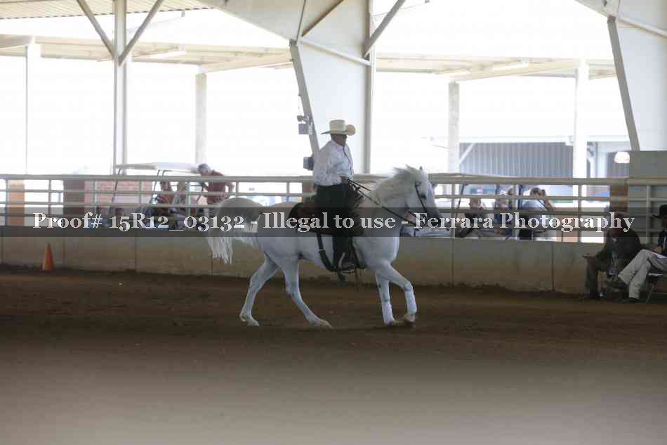 Proof 15R12_03132