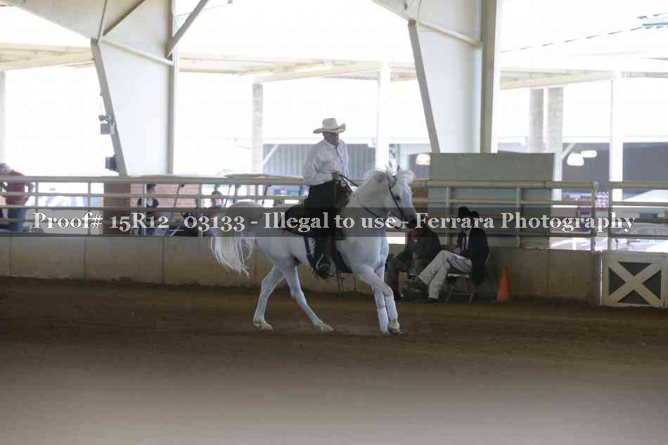 Proof 15R12_03133