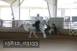 15R12_03133 proof