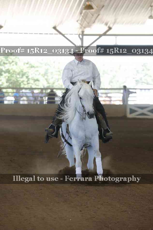 Proof 15R12_03134