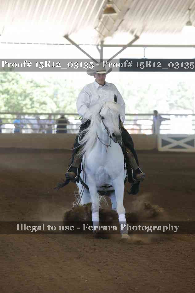 Proof 15R12_03135