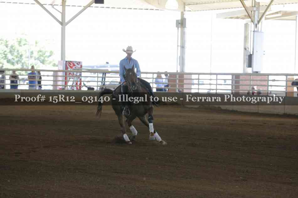 Proof 15R12_03140