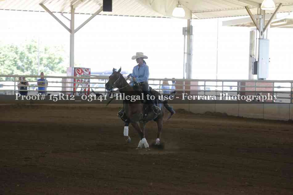 Proof 15R12_03141