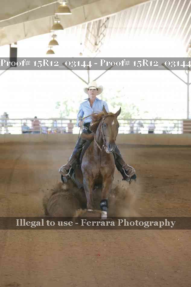 Proof 15R12_03144