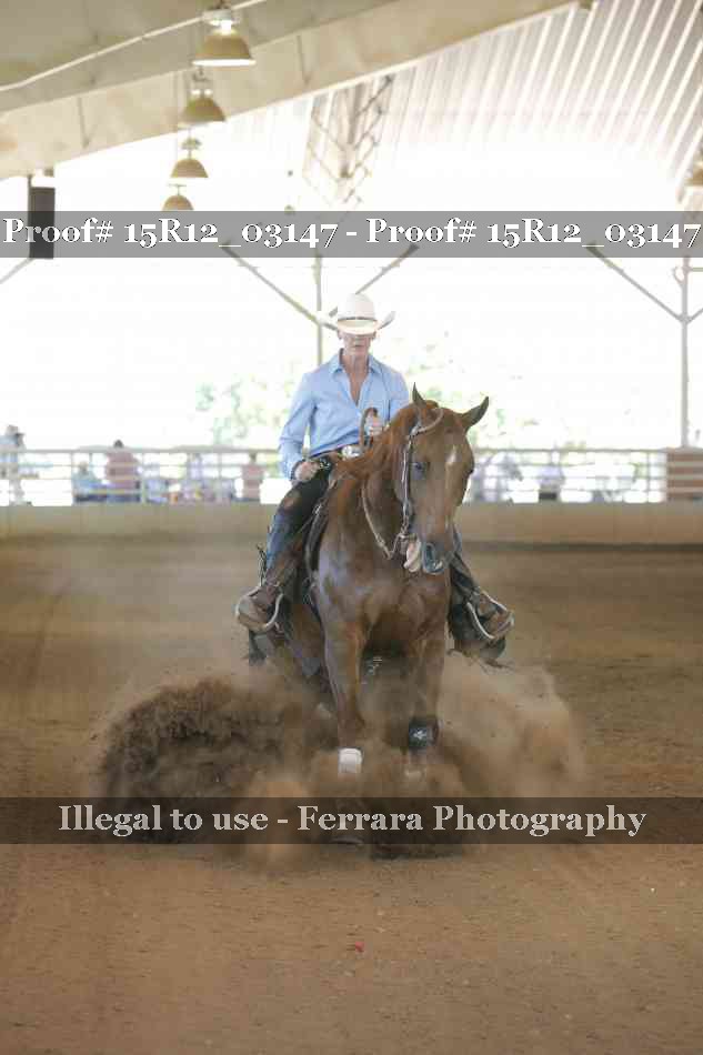 Proof 15R12_03147