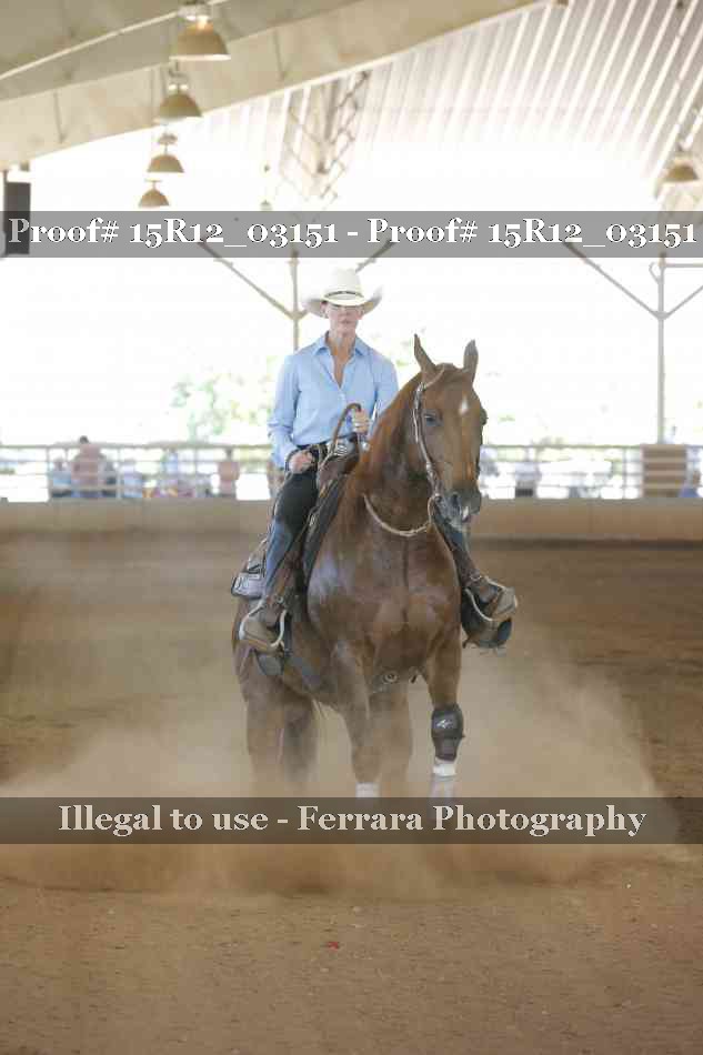 Proof 15R12_03151