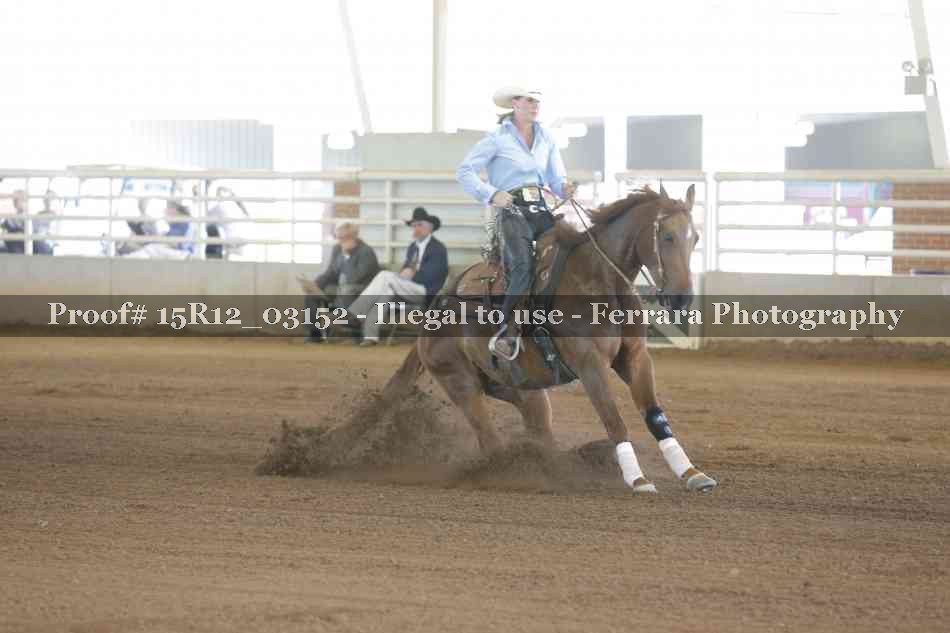 Proof 15R12_03152