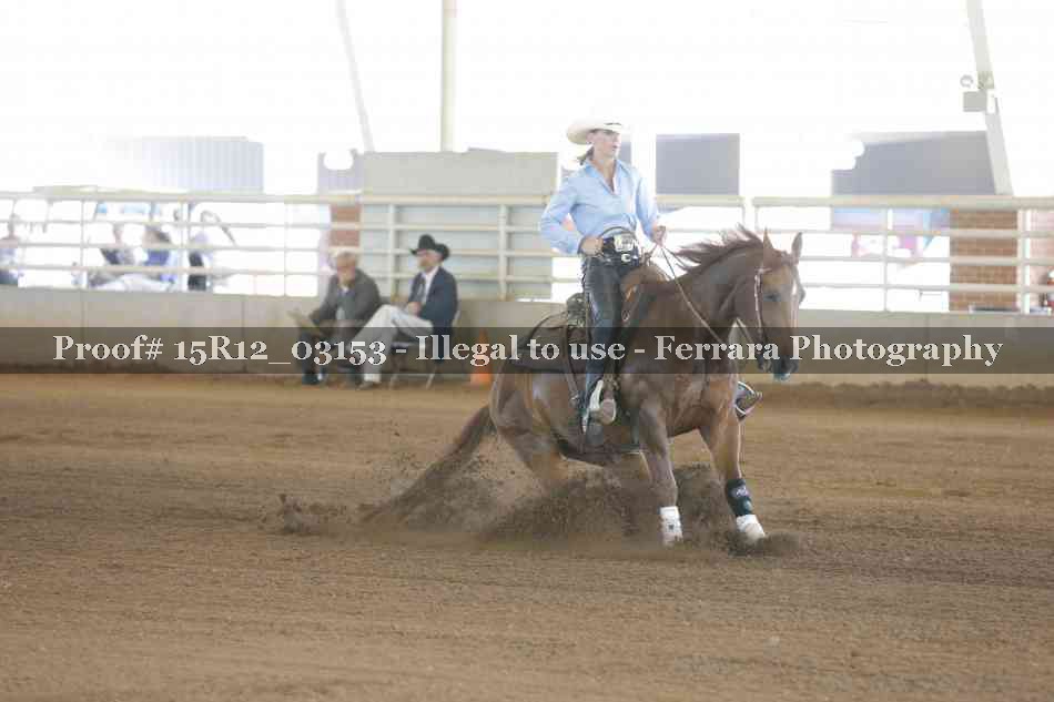 Proof 15R12_03153
