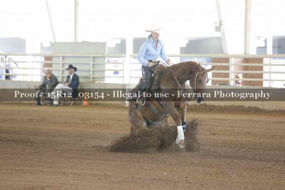 Proof 15R12_03154