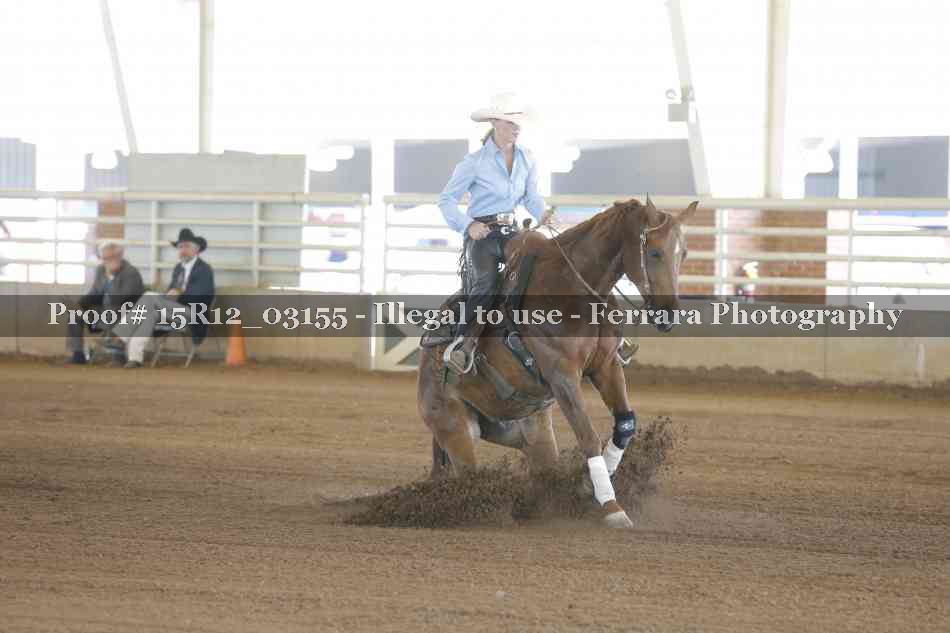 Proof 15R12_03155