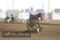 15R12_03155 proof