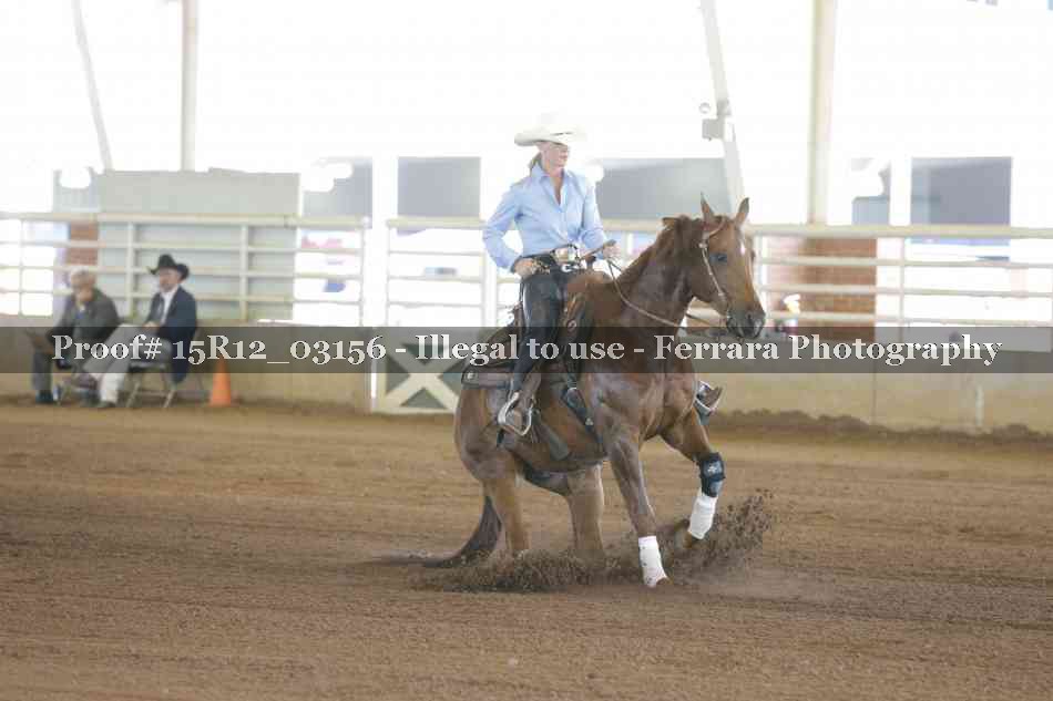 Proof 15R12_03156
