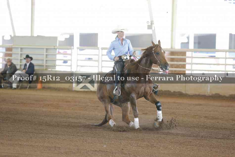 Proof 15R12_03157