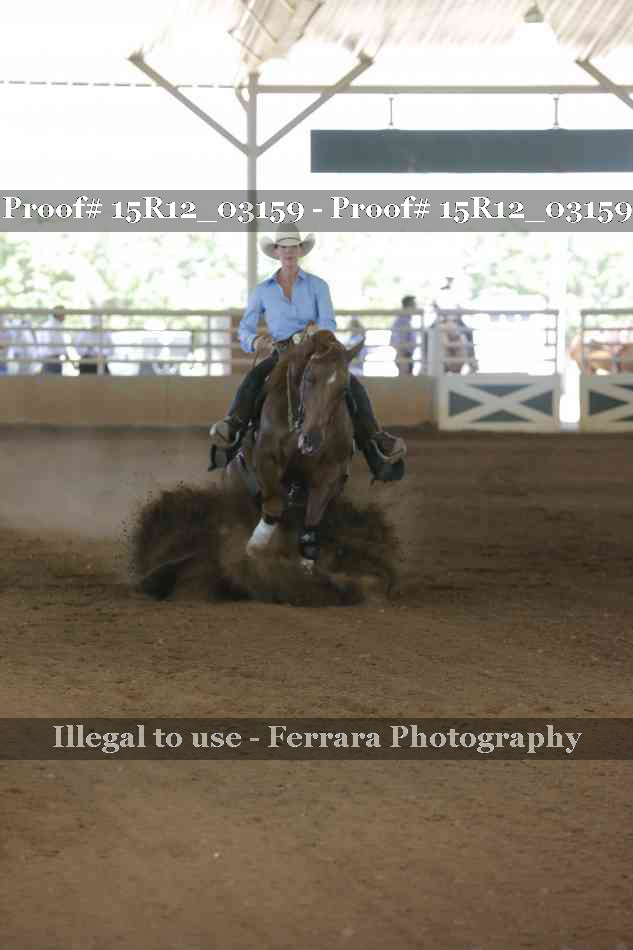 Proof 15R12_03159