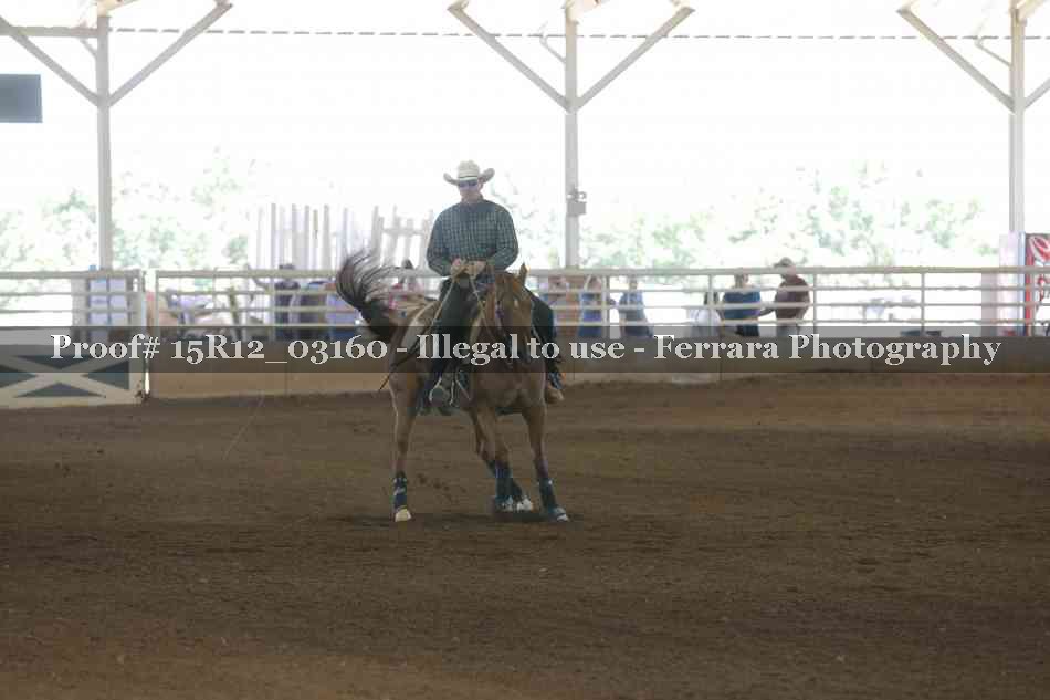 Proof 15R12_03160