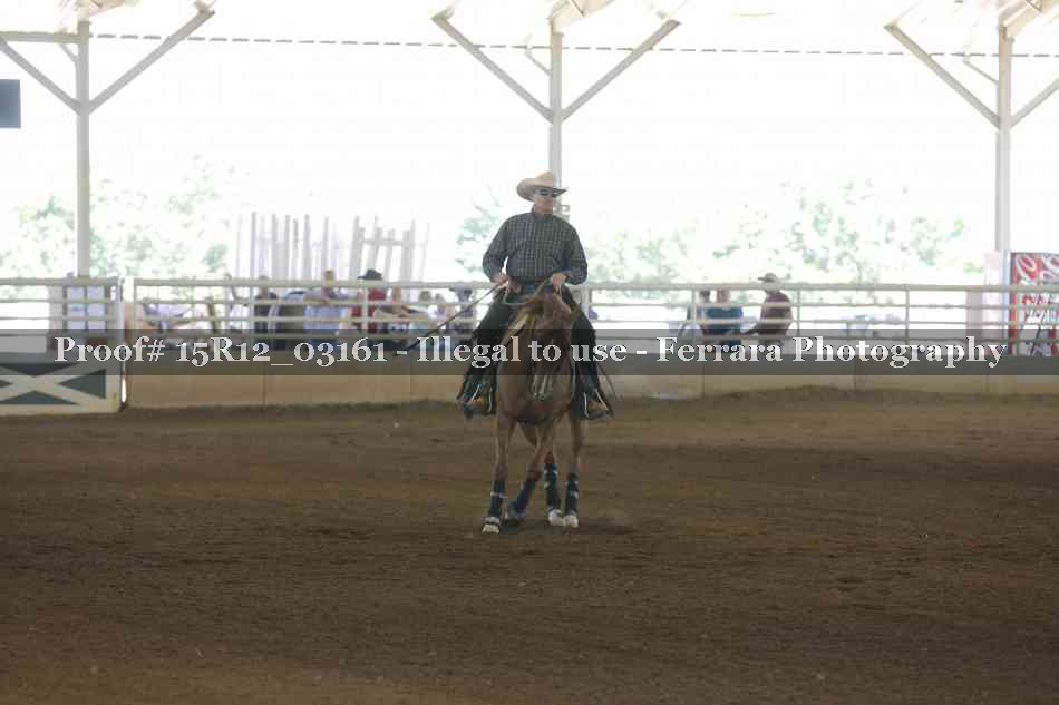 Proof 15R12_03161