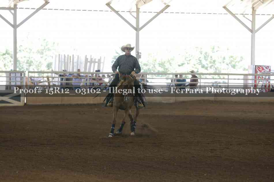 Proof 15R12_03162