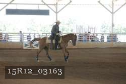 15R12_03163 proof