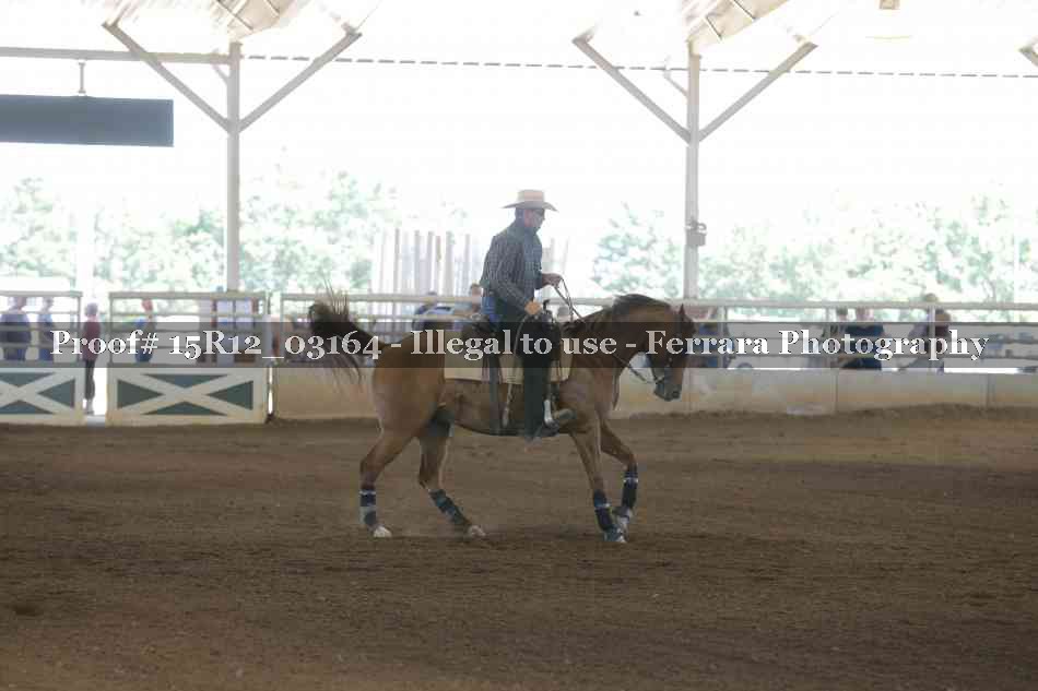 Proof 15R12_03164