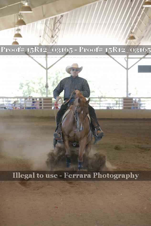 Proof 15R12_03165