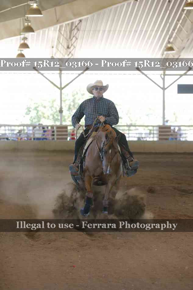Proof 15R12_03166