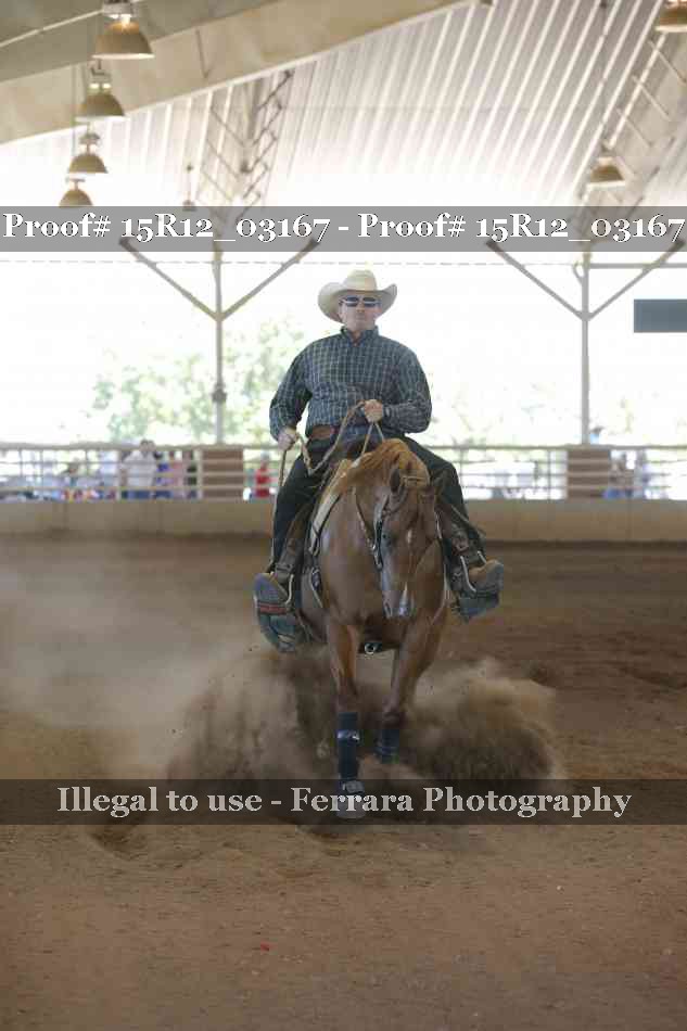 Proof 15R12_03167