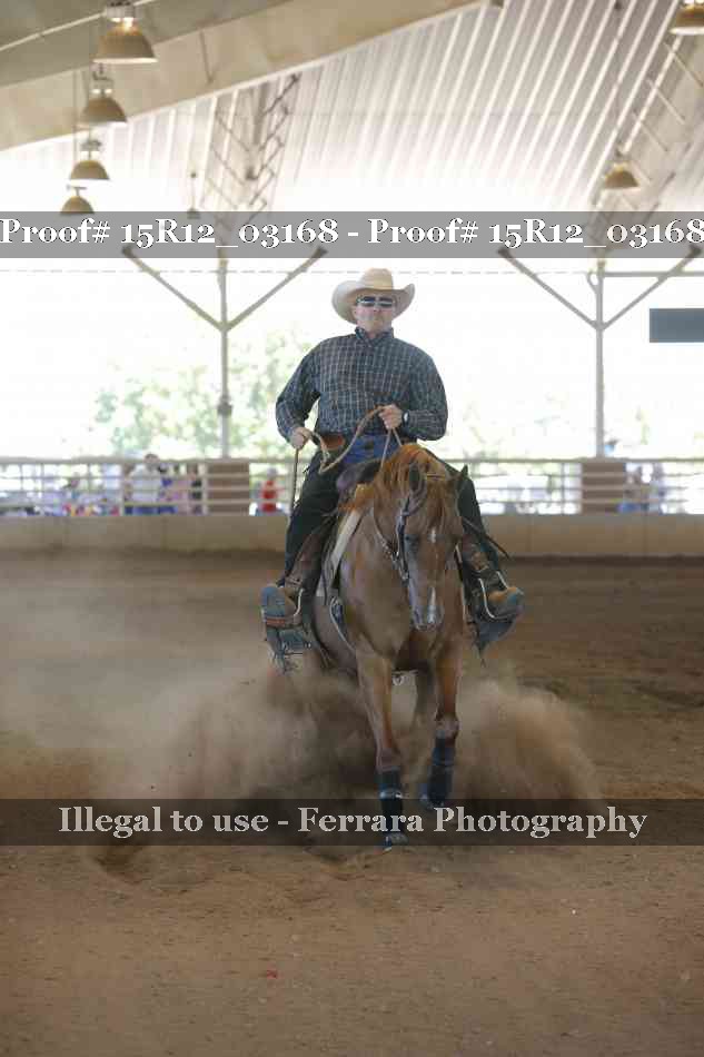 Proof 15R12_03168