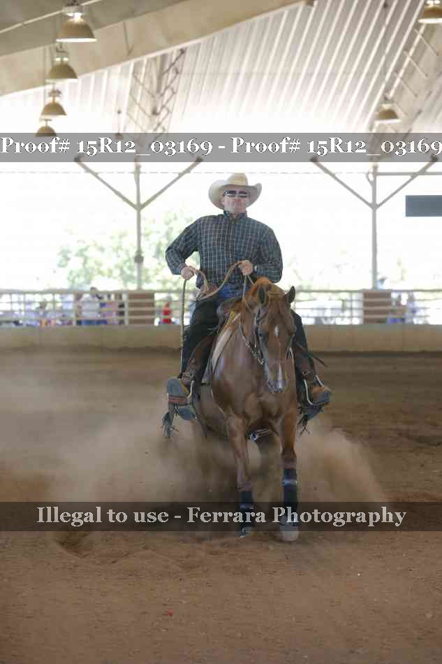 Proof 15R12_03169