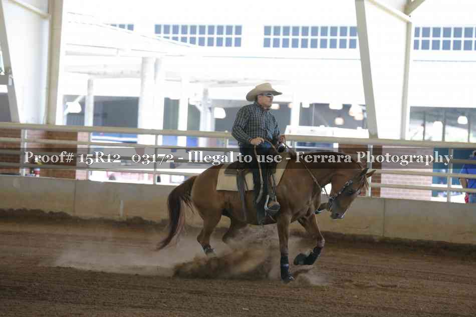 Proof 15R12_03172