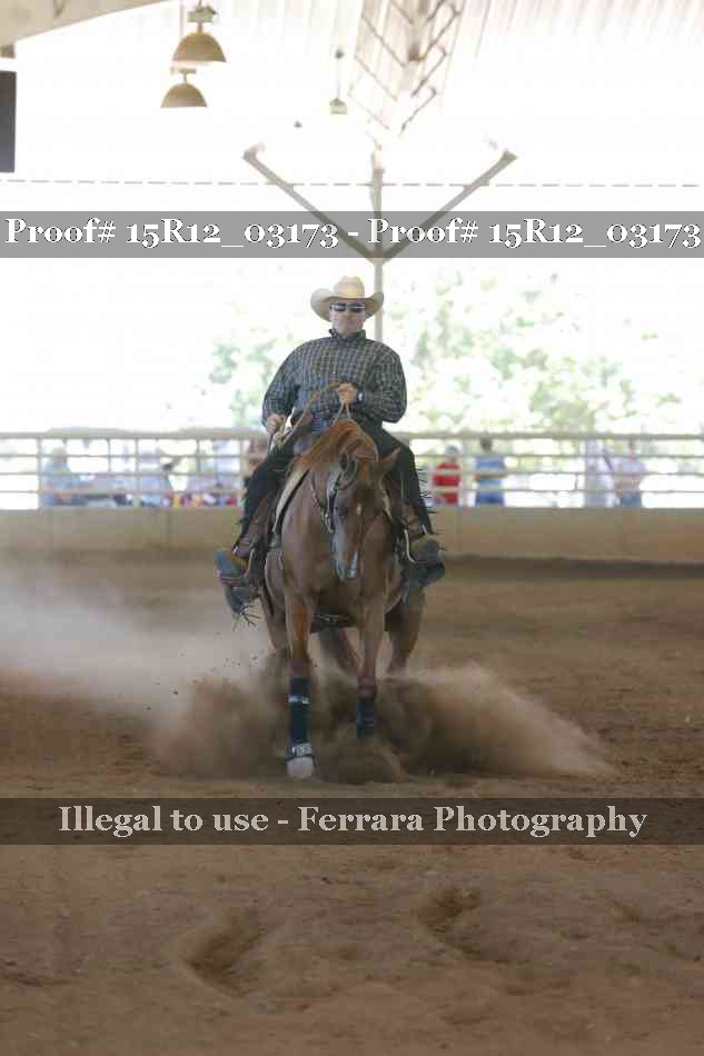Proof 15R12_03173