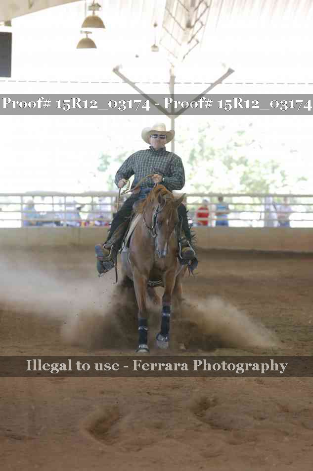 Proof 15R12_03174