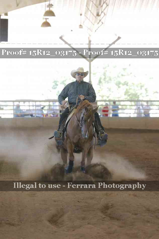 Proof 15R12_03175