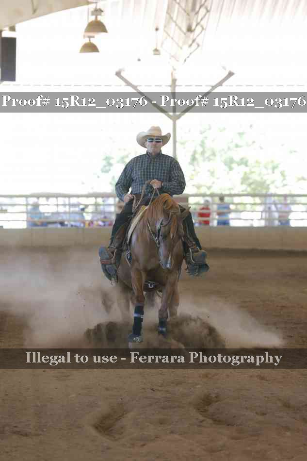 Proof 15R12_03176