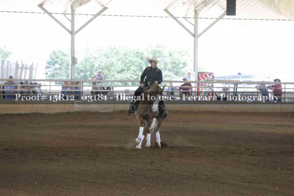 Proof 15R12_03181