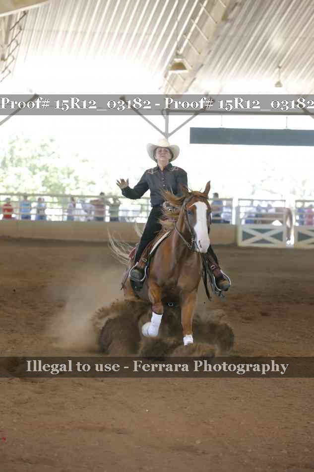 Proof 15R12_03182