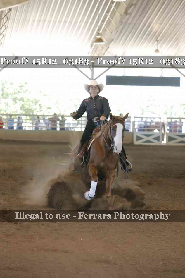 Proof 15R12_03183